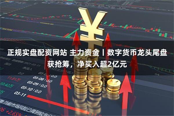 正规实盘配资网站 主力资金丨数字货币龙头尾盘获抢筹，净买入超2亿元