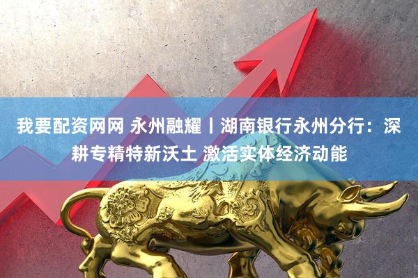我要配资网网 永州融耀丨湖南银行永州分行:深耕专精特新沃土 激活实体经济动能
