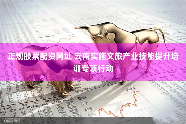 正规股票配资网址 云南实施文旅产业技能提升培训专项行动