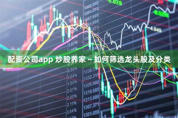配资公司app 炒股养家～如何筛选龙头股及分类