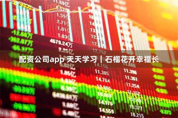 配资公司app 天天学习｜石榴花开幸福长
